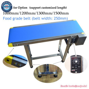 Food Grade Conveyor Belt - Stainless Steel Printer Bottle Code Inkjet
