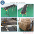 Inkjet Printer for Bottles & Eggs - 1500mm Conveyor Belt Production