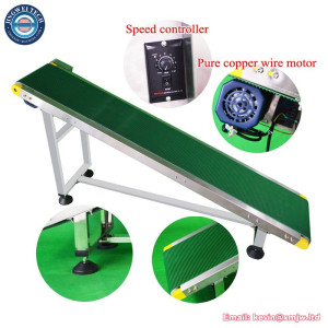 250mm Belt Conveyor - 220V/110V Stainless Steel Auto Production
