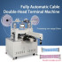 Fully Automatic Double-head Cable Terminal Machine  