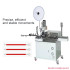 TR-DD01 Automatic Cable Crimping Machine: Cut, Strip, Tinning