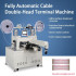 Fully Automatic Double-head Cable Terminal Machine  